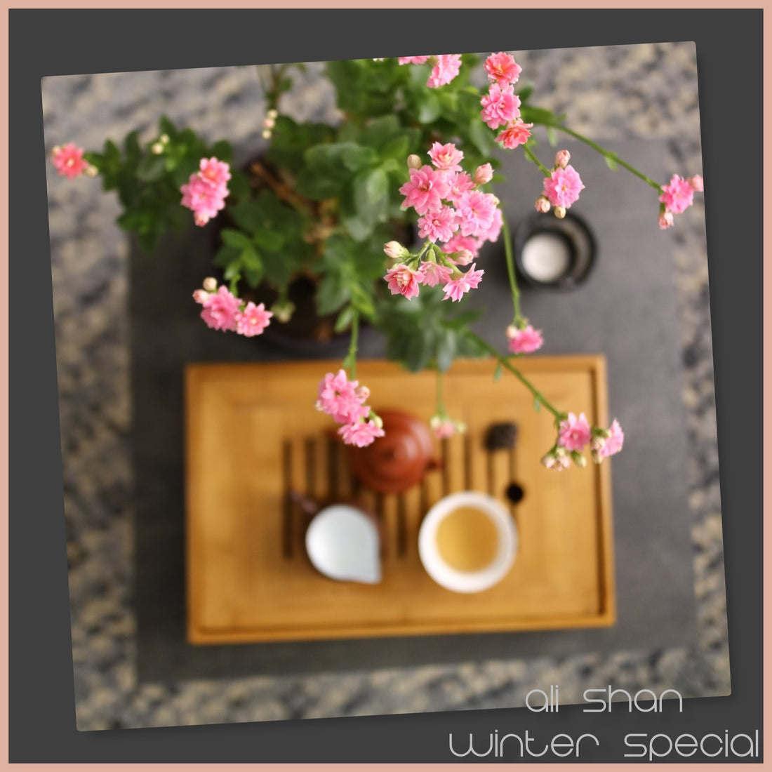 Tasting Notes - Formosa Ali Shan Tie Quan Yin - She Fang Boutique Tea