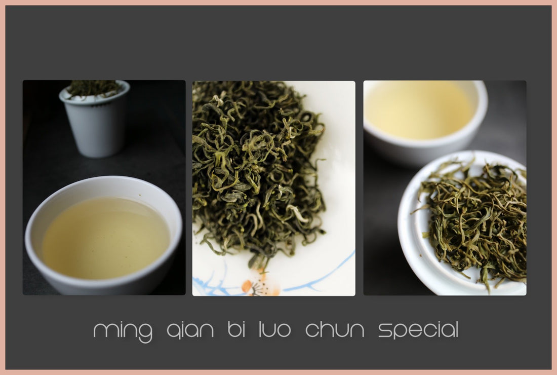 Tasting Notes - Ming Qian Bi Luo Chun “Spring Green snail” Superior - She Fang Boutique Tea