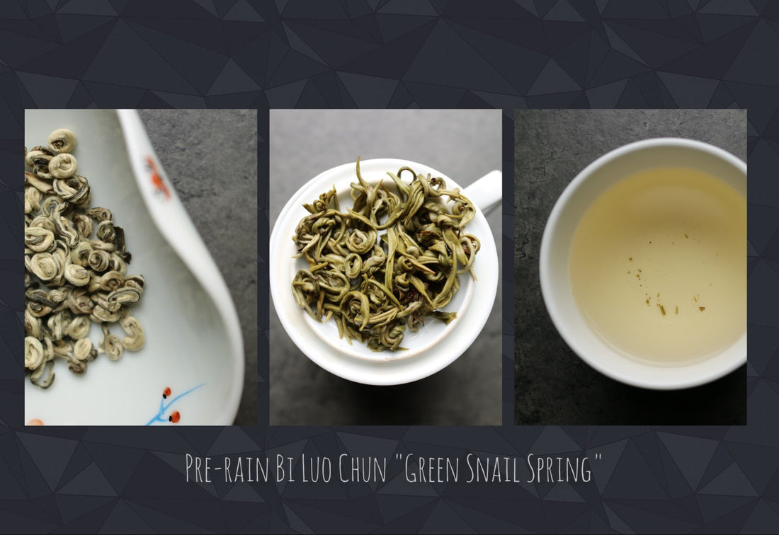 Pre-rain Green Snail Spring Imperial grade - She Fang Boutique Tea