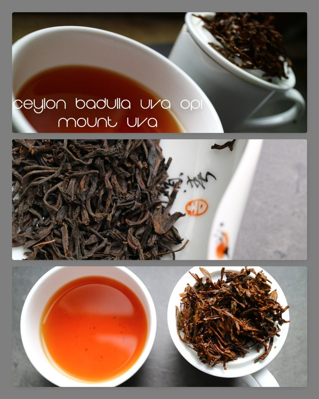 Tea Tasting Diary - Batch n.234 (Ceylon Badulla) - She Fang Boutique Tea