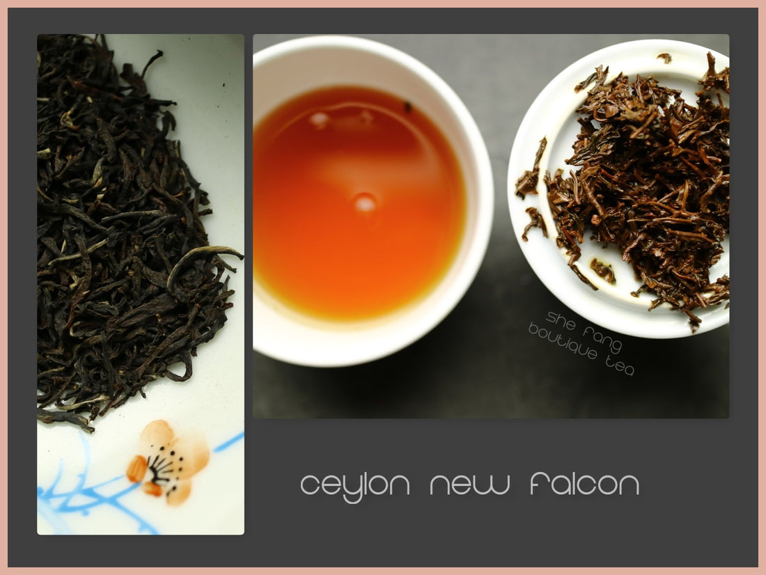 Tea sourcing - batch 235 - Ceylon New Falcon exclusive - She Fang Boutique Tea