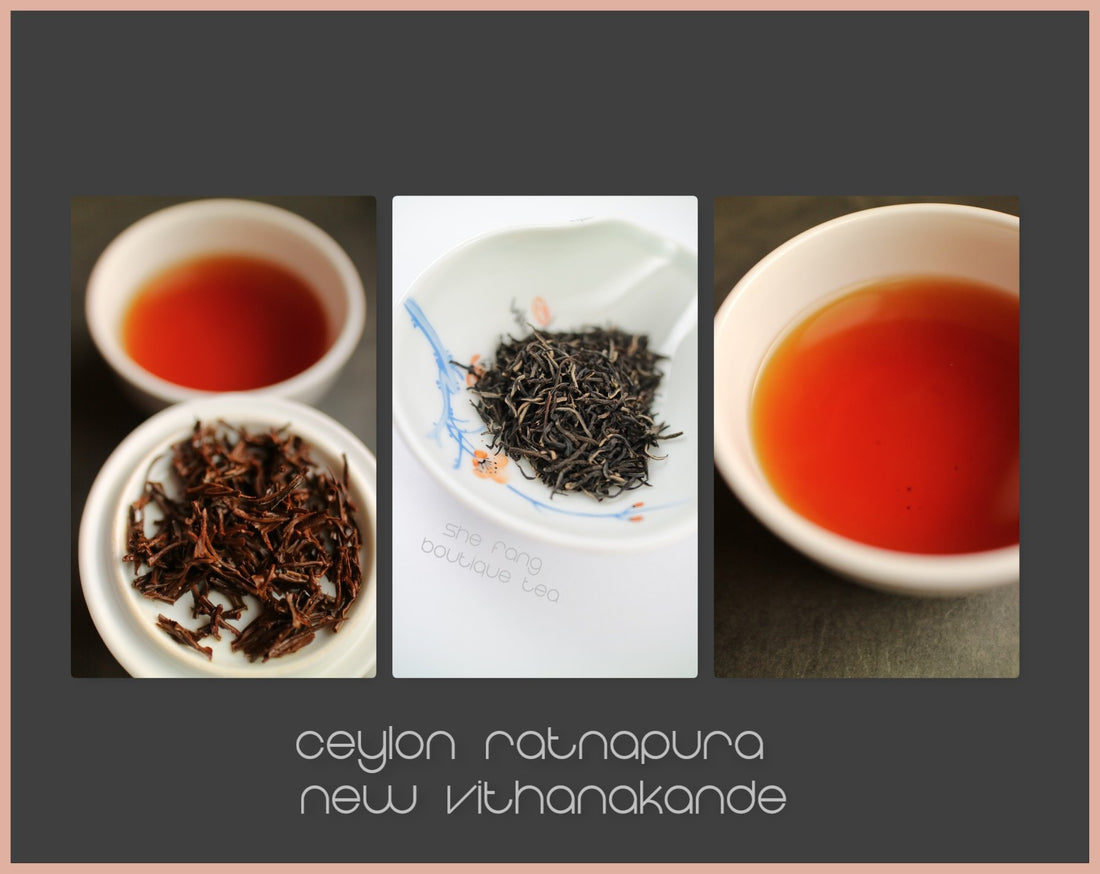 Tasting Notes - Ceylon Ratnapura New Vithanakande FBOPFEXSP “Silver Tips” N.505 - She Fang Boutique Tea