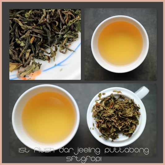 Tasting Notes - 1st flush Darjeeling Puttabong SFTGFOP 1 - She Fang Boutique Tea