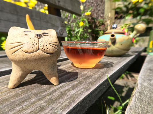 Te Ji Tuo RAW PUER N.604