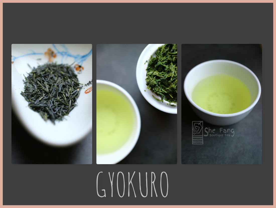 Tea Sourcing - Gyokuro "Jade Dew" - She Fang Boutique Tea