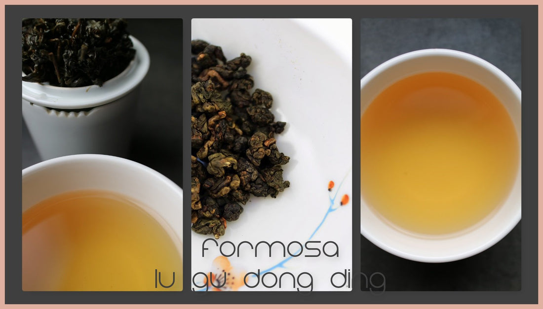 Tasting notes – Formosa Lu Gu Dong Ding “Frozen peak” - 5th plum prize - She Fang Boutique Tea