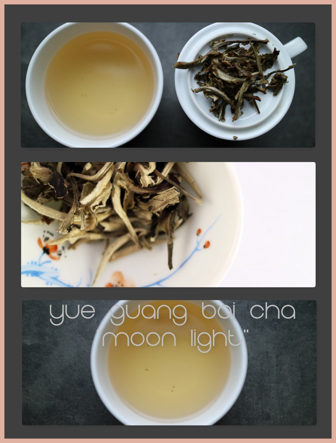 Tasting notes - Yue Guang Bai Cha "Moon Light" - She Fang Boutique Tea