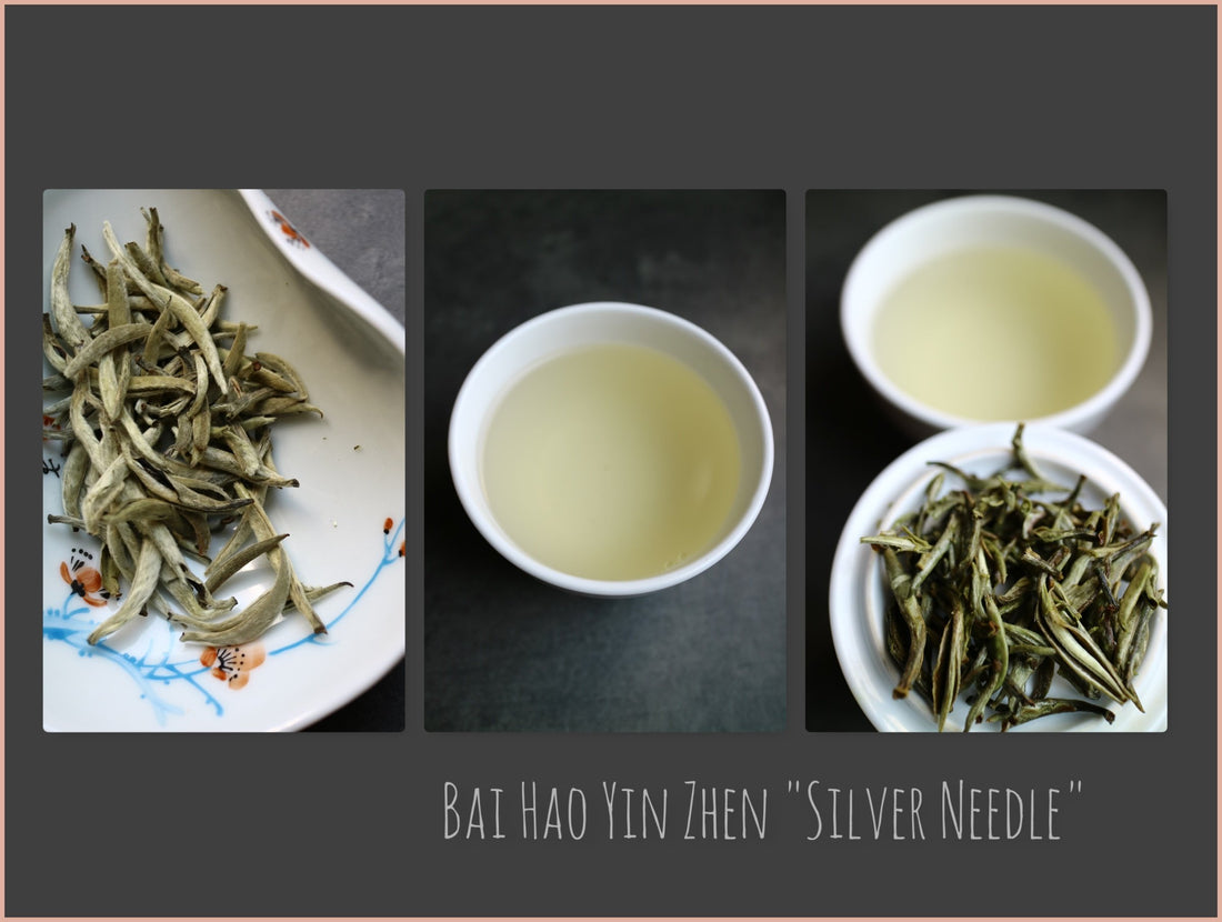 Tea Sourcing – Bai Hao Yin Zhen “Silver Needle” Superior - She Fang Boutique Tea