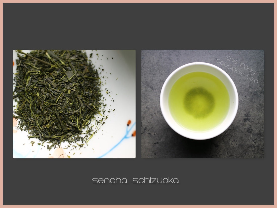 Tea sourcing batch N.239 - Teas from Japan - Sencha from Schizuoka pref. - She Fang Boutique Tea