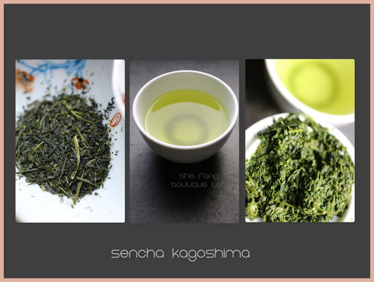 Tea sourcing batch n.239 - Teas from Japan - Sencha from Kagoshima prefecture - She Fang Boutique Tea