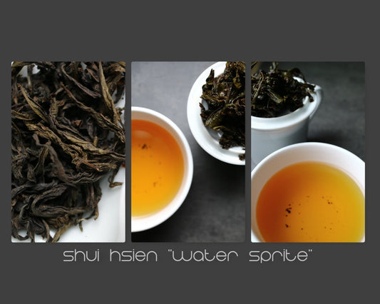 Tea Tasting diary – batch n.232 - She Fang Boutique Tea