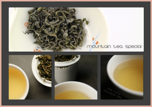 Tasting Notes - Vietnam Suoi Giang Mountain Tea Special - She Fang Boutique Tea