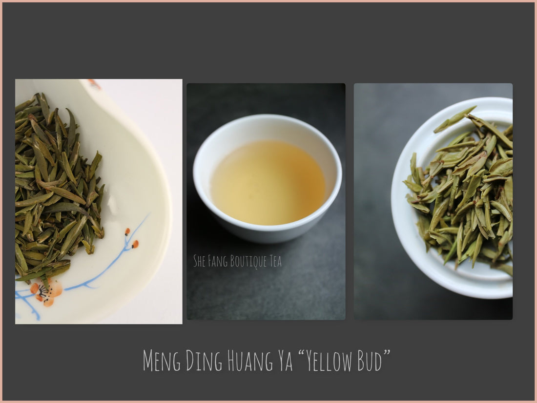Tea Sourcing -  Meng Ding Huang Ya “Yellow Bud” - She Fang Boutique Tea