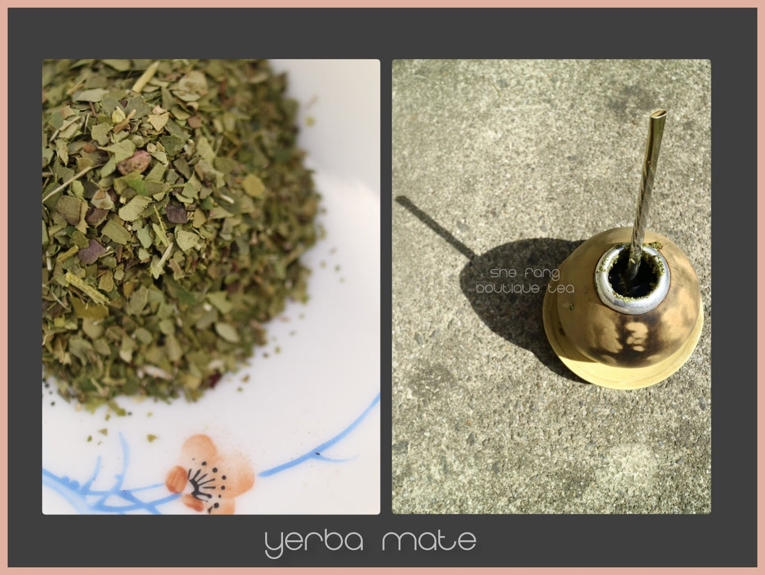 Tasting notes – Yerba Mate - She Fang Boutique Tea