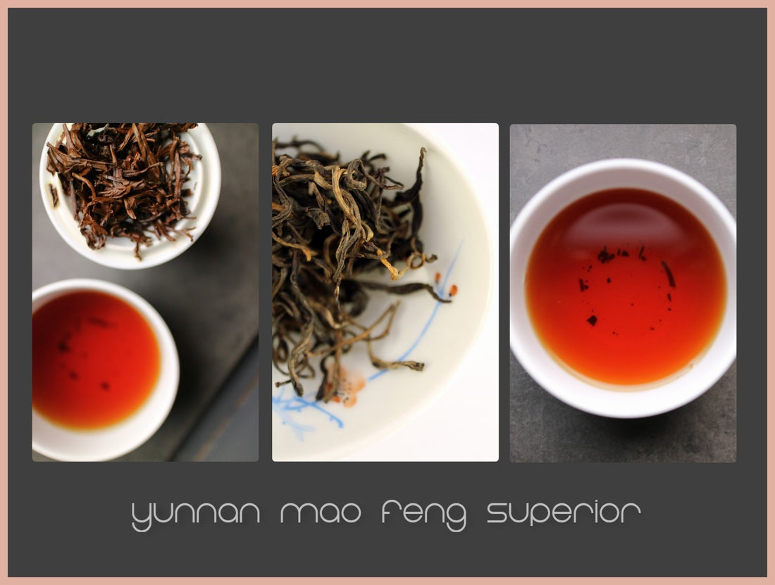 Tasting notes - Yunnan Mao Feng Superior - She Fang Boutique Tea