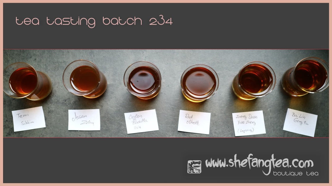 Tea Tasting diary – batch n.234 - She Fang Boutique Tea