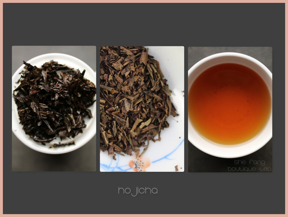 Tasting Notes – Hojicha - She Fang Boutique Tea