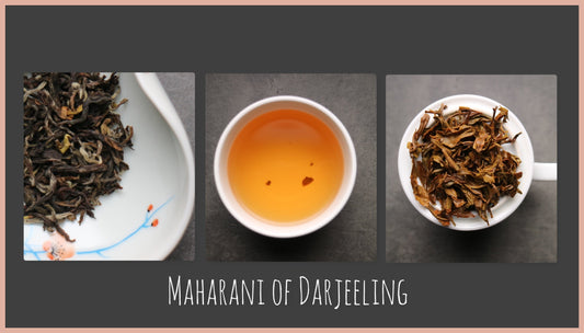 1st flush Maharani of Darjeeling Special - She Fang Boutique Tea