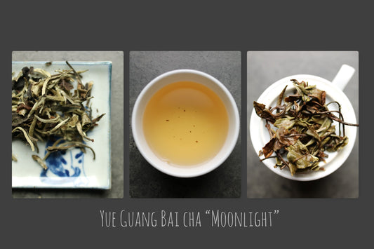 Air-dried Yue Guang Bai “MOONLIGHT” Superior - She Fang Boutique Tea