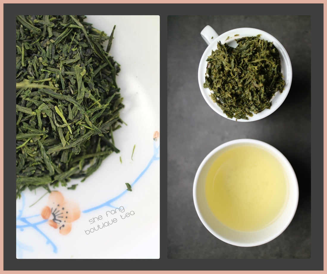 Tasting Notes - Sencha - She Fang Boutique Tea