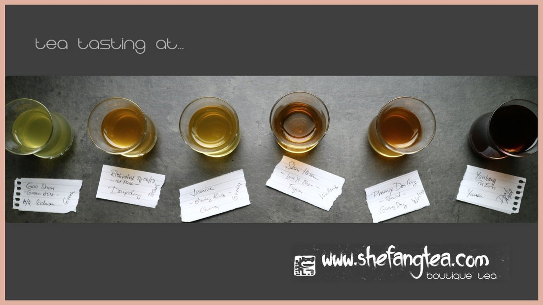 Tea Tasting diary – batch n.232 - She Fang Boutique Tea
