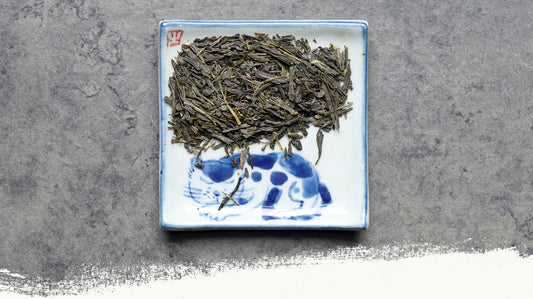 Minamikyushu Sencha